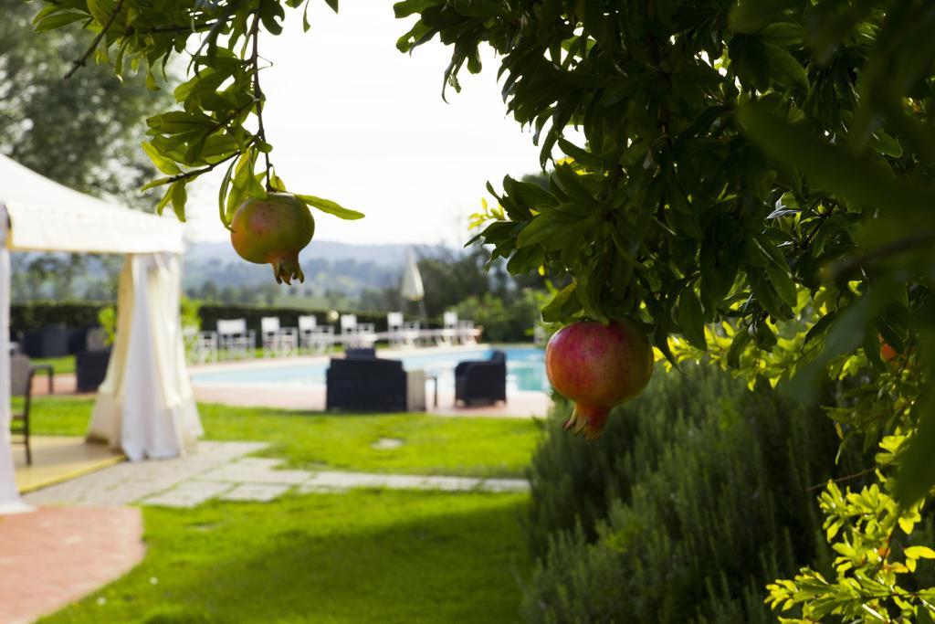 Agriturismo Marrucola Сан-Миниато Экстерьер фото